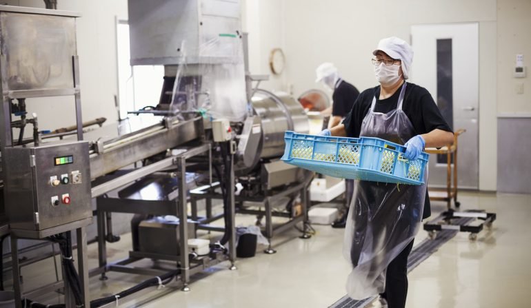 workers-in-a-factory-producing-soba-noodles-2025-04-05-08-03-51-utc (2)